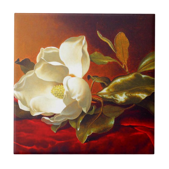 Magnolia em Red Velvet Martin Johnson Heade (Frente)