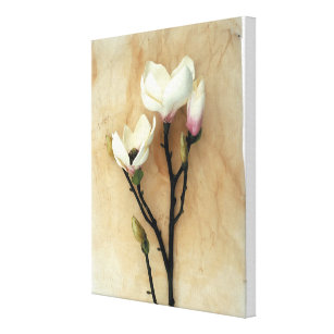 Magnolia floral impressão impressão