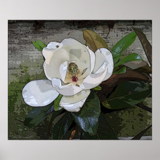 Magnolia Impressão mágica - 24x20 - outros tamanho