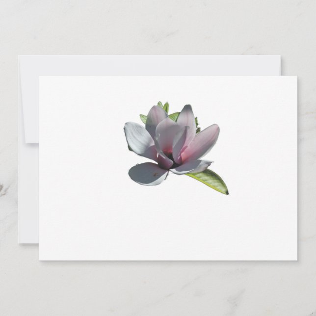 Magnolia Moderna Ideias Simples De Casamento Elega (Frente)