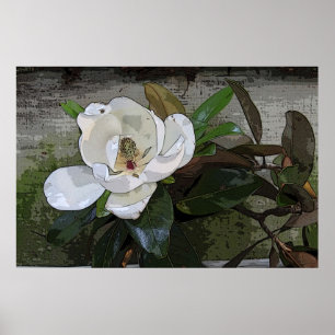 Magnolia Poster mágica - 36x24 - outros tamanhos 
