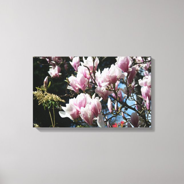 Magnolia Primavera Fotografia Floral Canvas 6 (Frente)