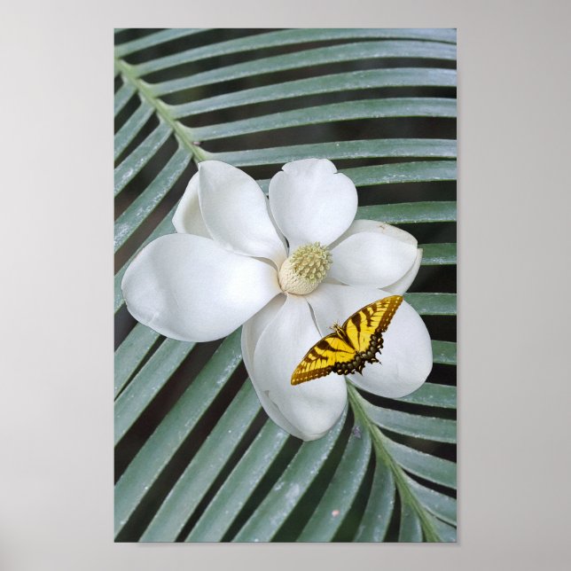 Magnolia Print, Value Poster Paper (Semi-Gloss) (Frente)