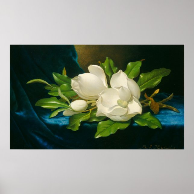 Magnolias - Martin Johnson Heade Fine Art Poster (Frente)
