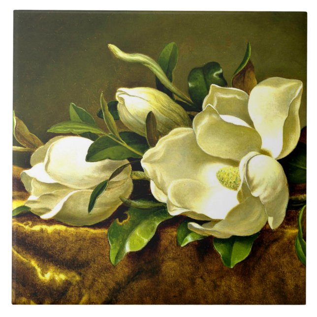 Magnolias no Dourado Velvet Cloth, pintura de arte (Frente)