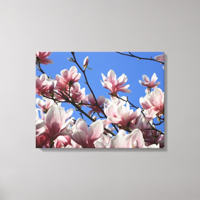 Magolia Rosa canvas (Frente)