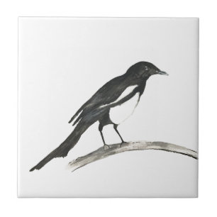 Magpie Bird Willife Watercolor Cute
