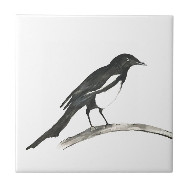 Magpie Bird Willife Watercolor Cute (Frente)