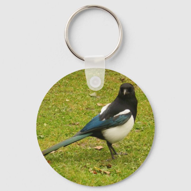 Magpie Chaveiro (Frente)