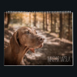Magyar Vizsla cães calendários<br><div class="desc">Magyar Vizsla cães calendários</div>