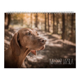 Magyar Vizsla cães calendários