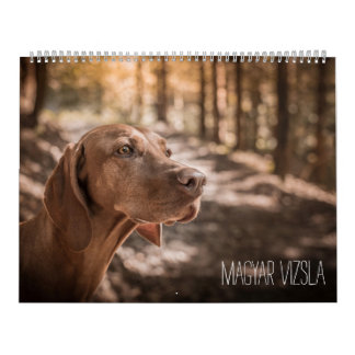 Magyar Vizsla cães calendários