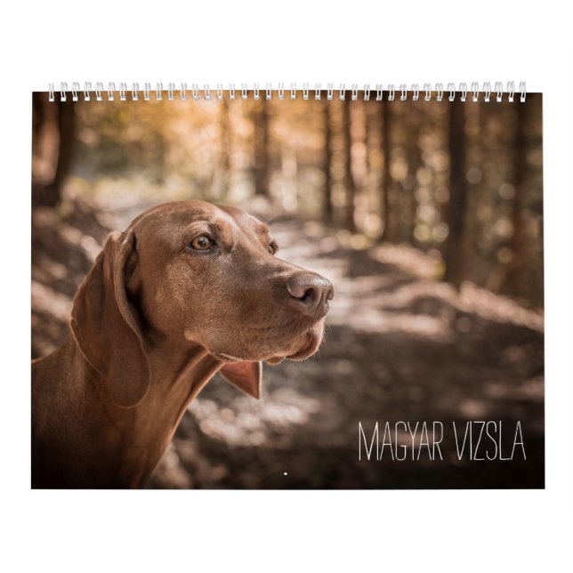 Magyar Vizsla cães calendários (Capa)