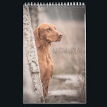 Magyar Vizsla cães calendários<br><div class="desc">Magyar Vizsla cães calendários</div>