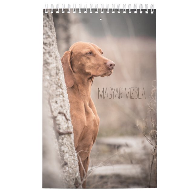 Magyar Vizsla cães calendários (Capa)