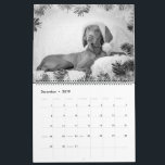 Magyar Vizsla cães calendários black & white<br><div class="desc">Magyar Vizsla cães calendários</div>