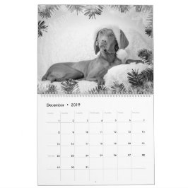 Magyar Vizsla cães calendários black & white