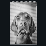 Magyar Vizsla cães calendários black & white<br><div class="desc">Magyar Vizsla cães calendários</div>