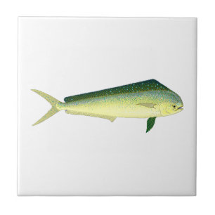 Mahi Mahi