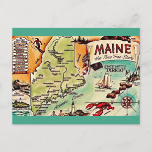 Maine - Cartão Postal do Estado do Pinheiro