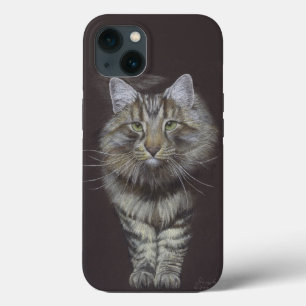 Maine Coon Cat