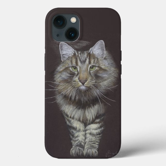 Maine Coon Cat (Verso)