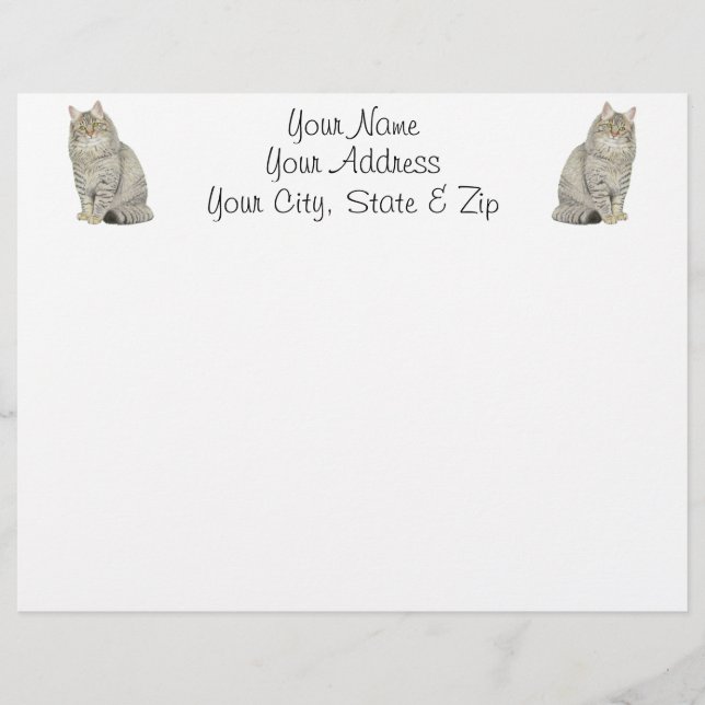 Maine Coon Cat (Frente)