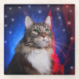 Maine Coon Cat Com Azul Branco Vermelho Aura E Est