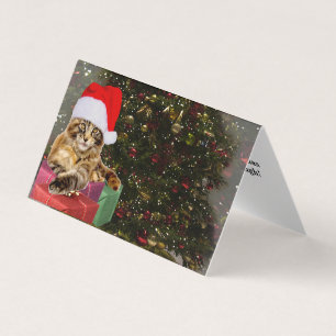 Maine Coon Cat Papais noeis e presentes Árvore de 