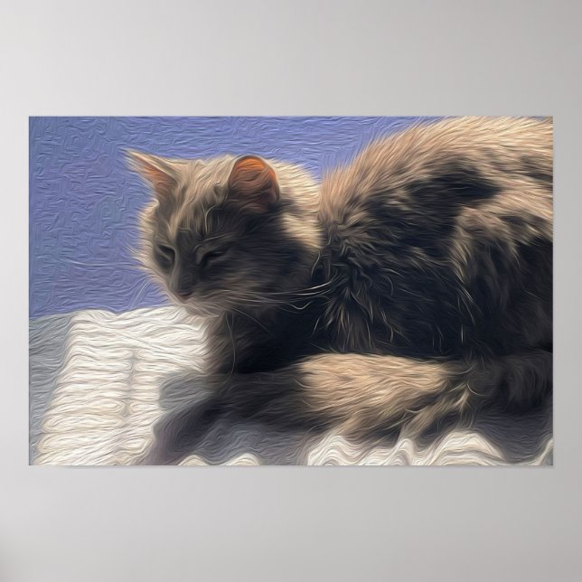 Maine Coon Cat Photo Poster (Frente)