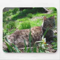 Maine Coon Mouse Pad