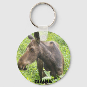 Maine Moose Chaveiro