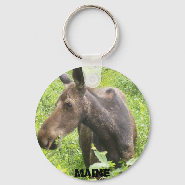 Maine Moose Chaveiro (Frente)