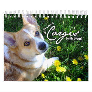 Mais mini calendário dos Corgis (com blogues)