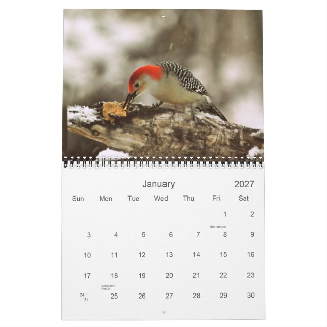 Mais pássaros em seu calendário 2013 do quintal (Jan 2027)