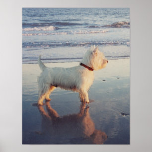 Mais Por Favor! Poster do Westie Ball