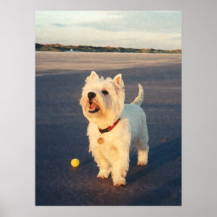 Mais Por Favor! Westie Ball Poster