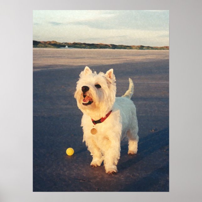 Mais Por Favor! Westie Ball Poster (Frente)