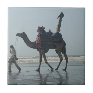Majestade Masqat: Adorada Camel Beach Safari em Om