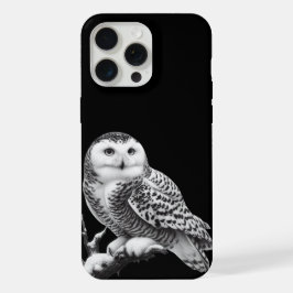 Majestade Snowy Owl Perched