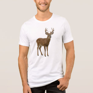 MAJESTIC WHITE-TAILED DEER. SAMER BRASIL