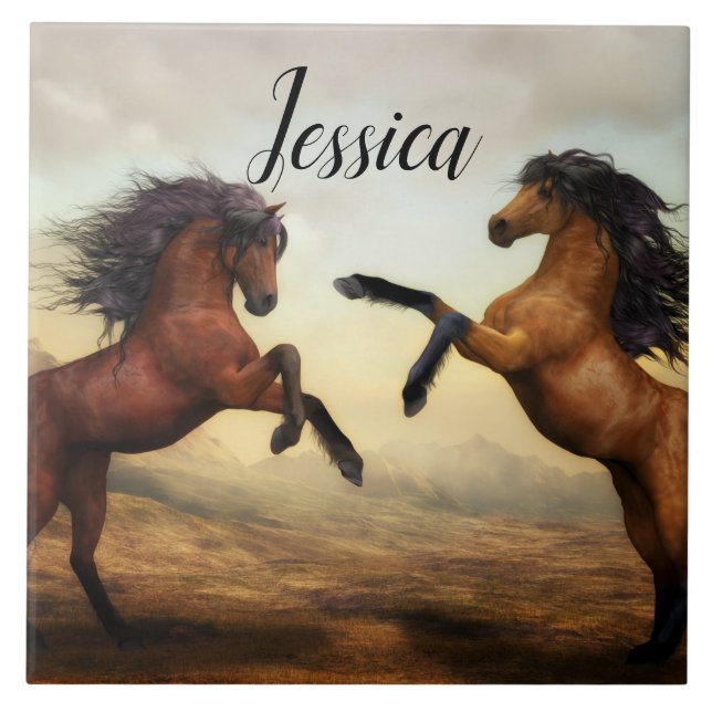 Majestnacionais Stallions (Frente)