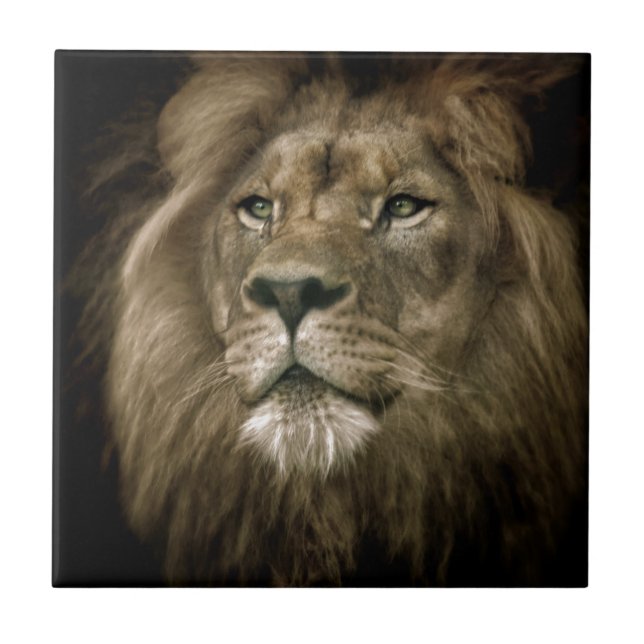 Majesty.jpg (Frente)