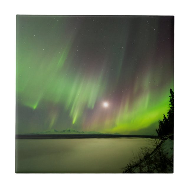 Majexpressa (Frente)