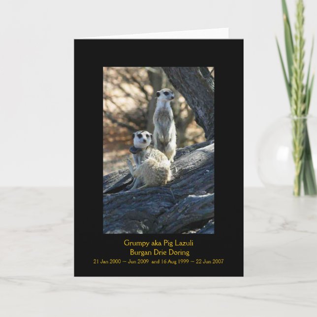 Mal-humorado e Burgan - cartão das legendas (Frente)