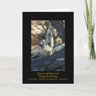 Mal-humorado e Burgan - cartão das legendas