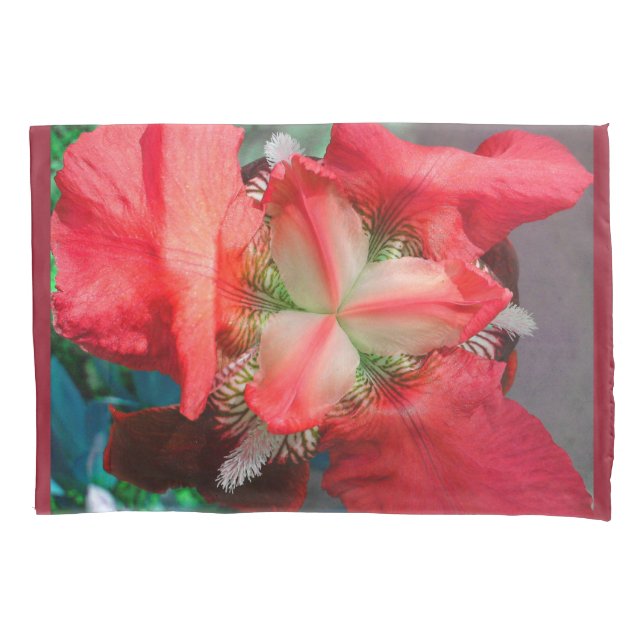 Mala de Travesseiro da Flor Íris Vermelha (Frente)
