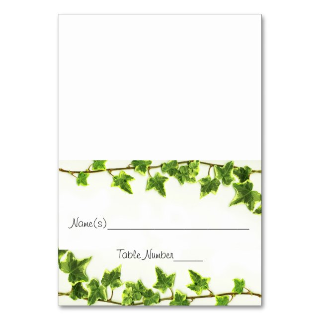 Mala verde - Escolher cartões de número de tabela (Frente)