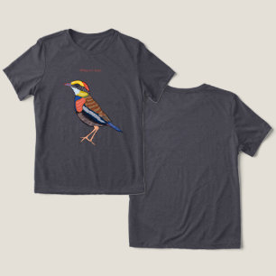 Malaio Banded Pitta