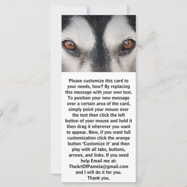 Malamute Dog Brown Eyes (Frente)